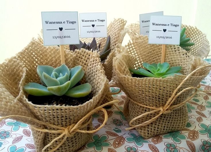 Mini Suculentas para Lembrancinhas: Um Toque Verde em Seu Evento